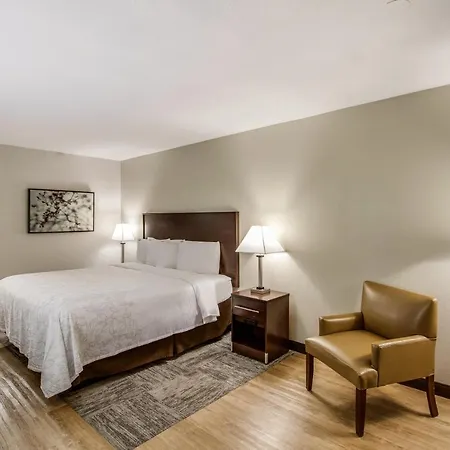 Red Roof Inn Plus+ Dallas - Addison Exterior photo